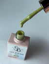 Verde seco